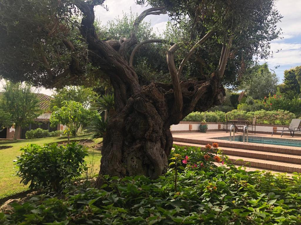 Authentic Andalucia Villa Marbella Kültér fotó